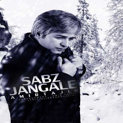 Amir Tajik Jangal e Sabz